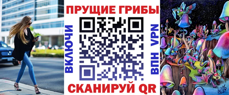 Галлюциногенные грибы Psilocybine cubensis  гидра tor  Печоры 